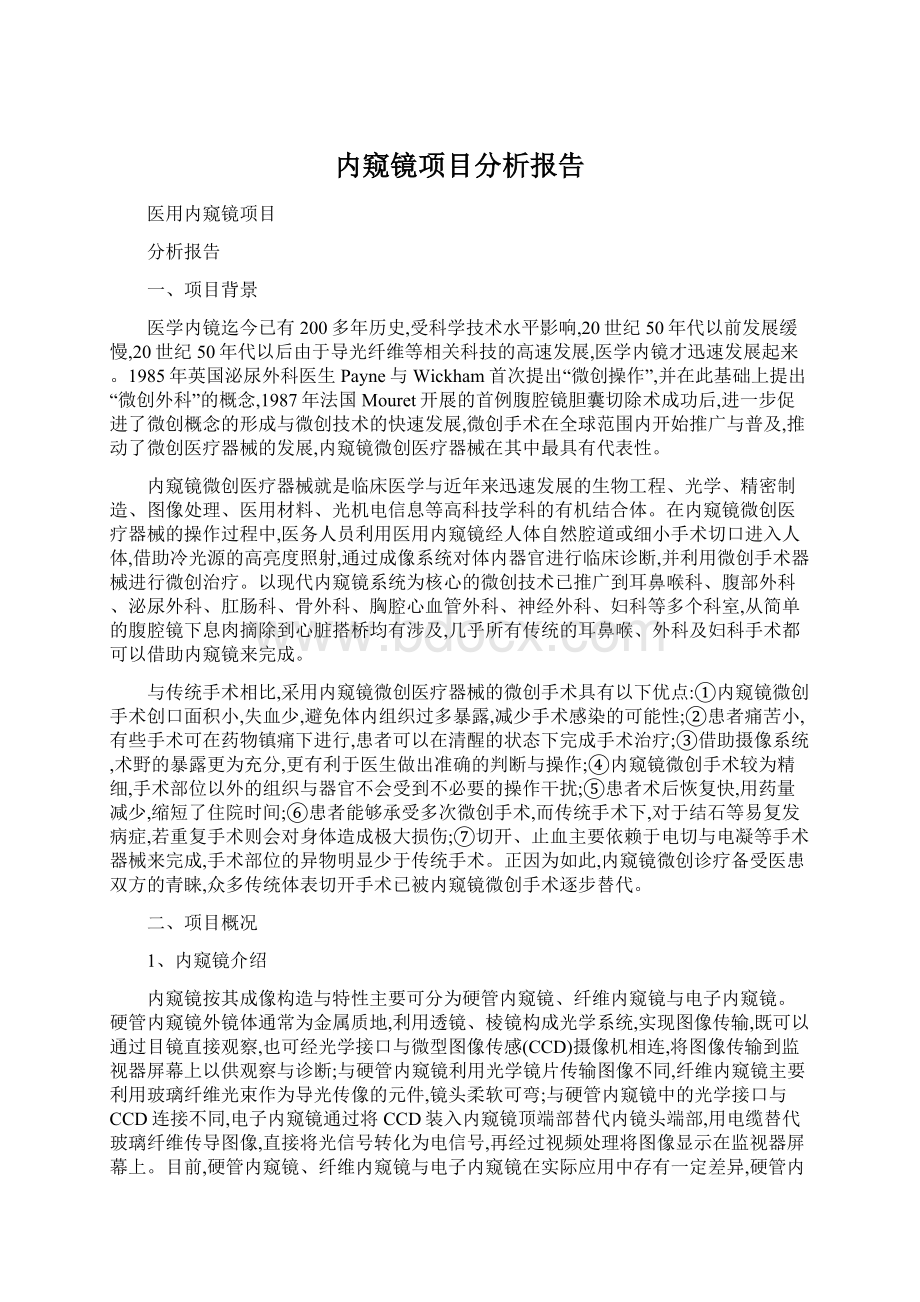 内窥镜项目分析报告.docx_第1页