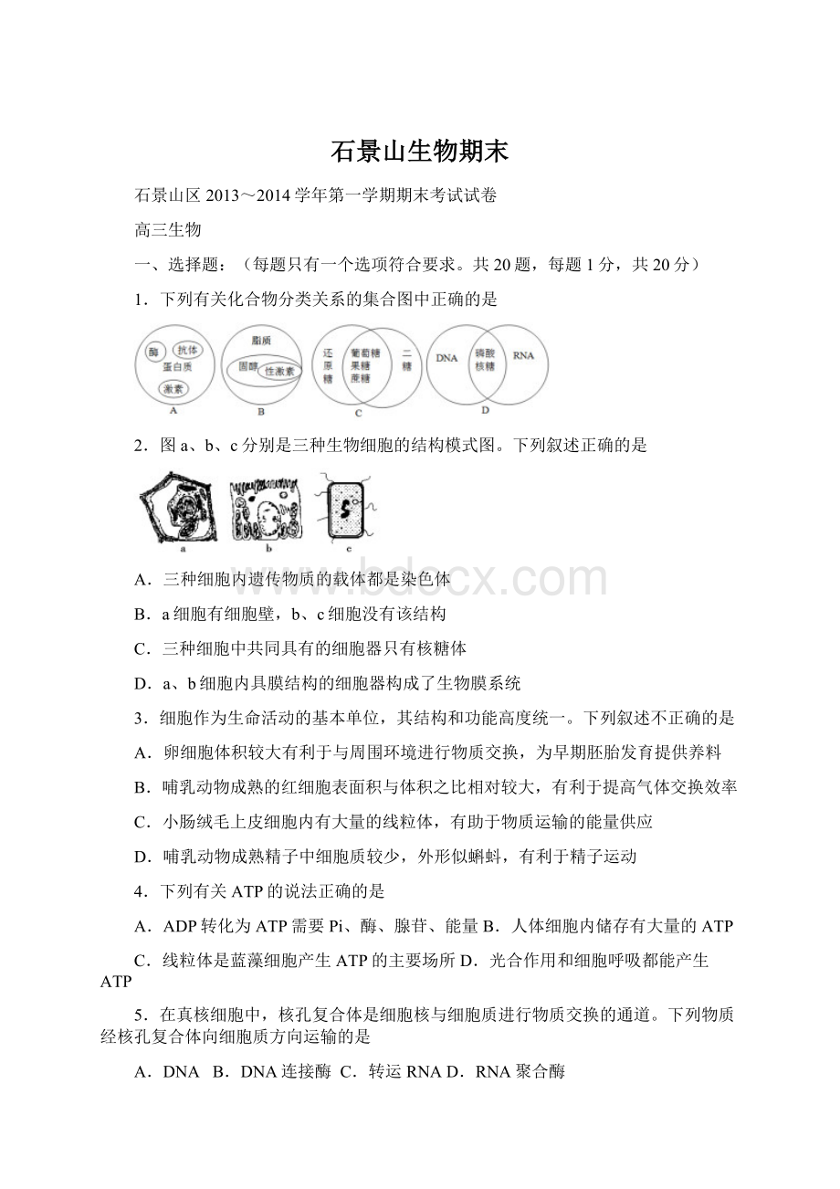 石景山生物期末.docx