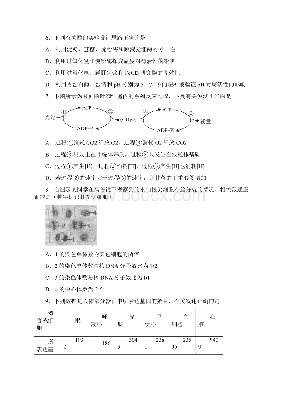 石景山生物期末.docx_第2页