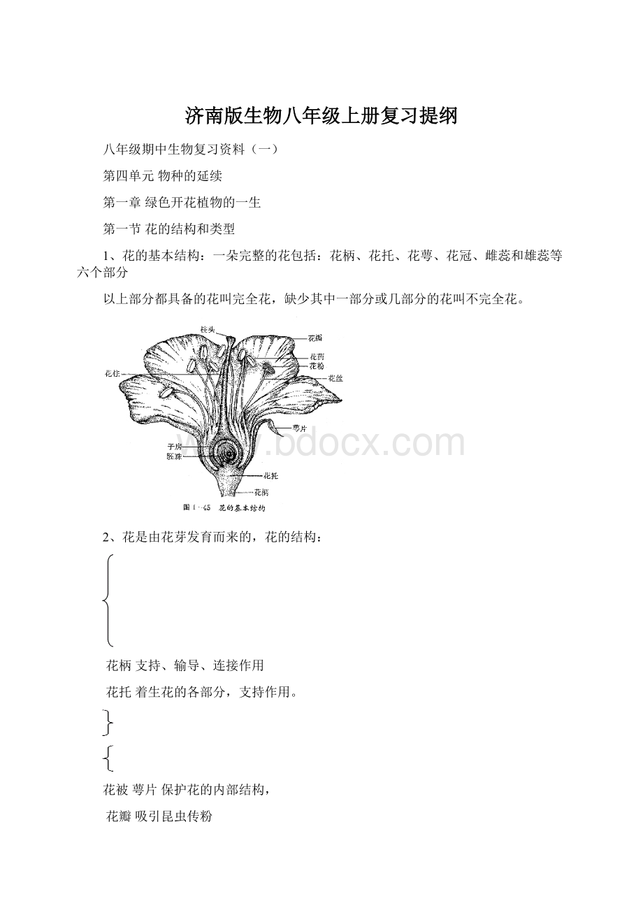 济南版生物八年级上册复习提纲Word格式.docx