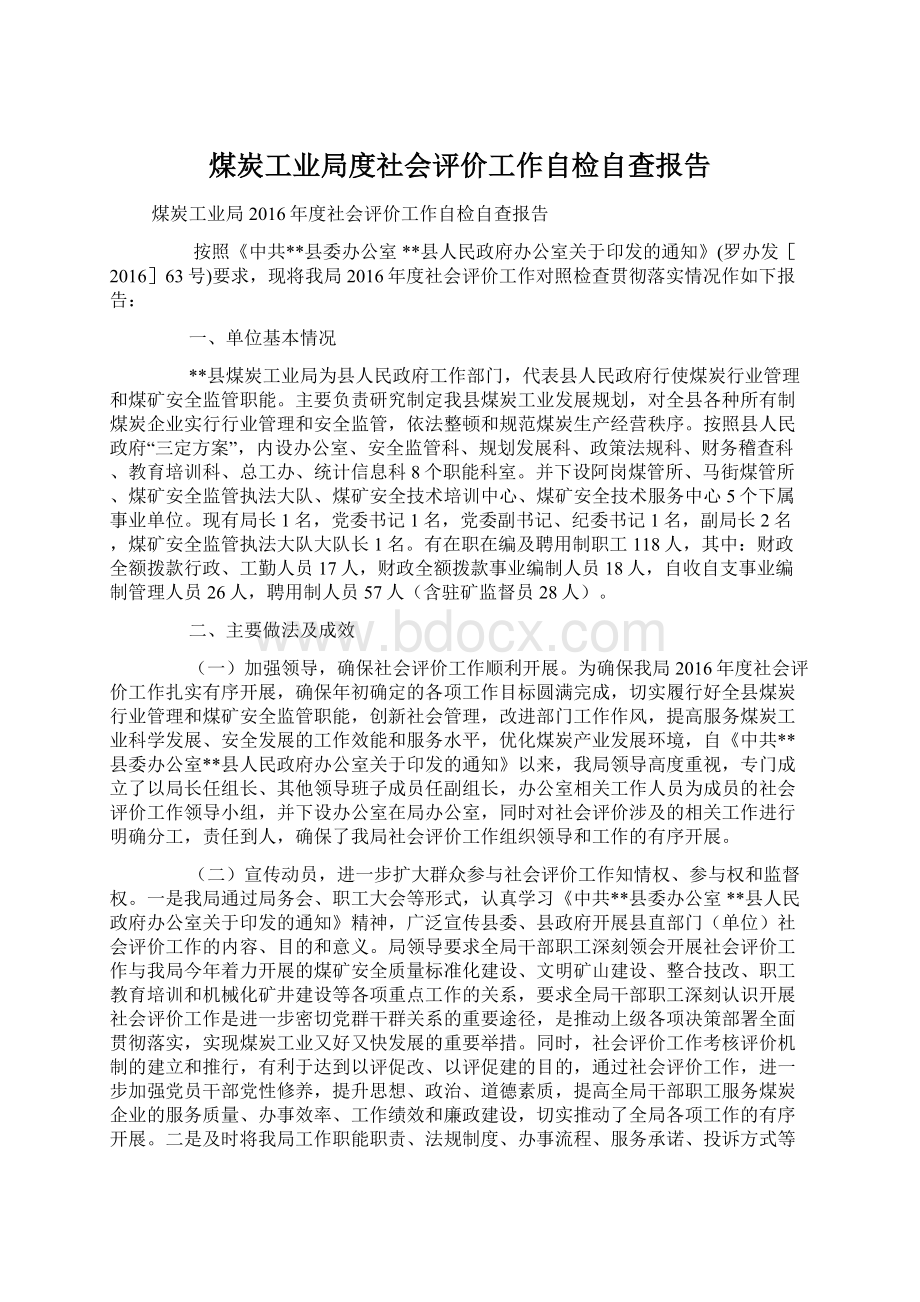 煤炭工业局度社会评价工作自检自查报告.docx