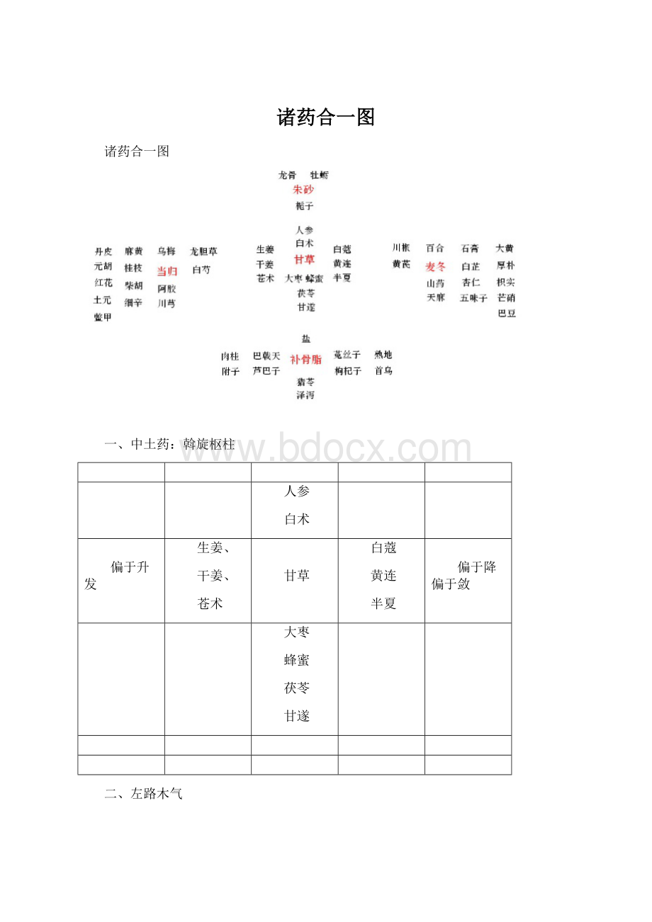 诸药合一图文档格式.docx