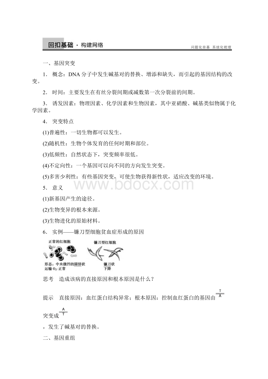 原创高三生物人教通用一轮复习教案讲基因突变和基因重组Word下载.docx_第2页