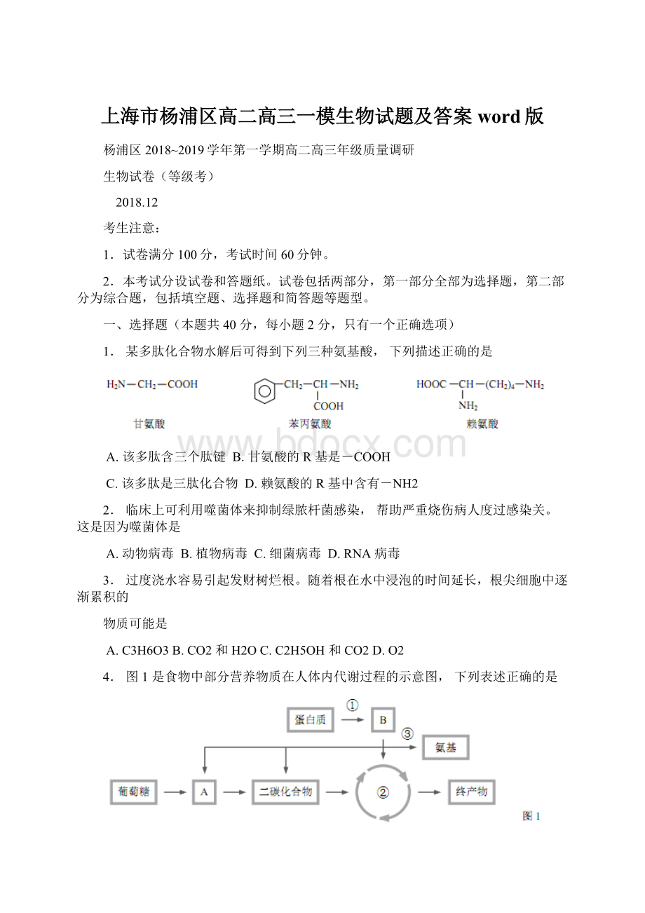 上海市杨浦区高二高三一模生物试题及答案word版.docx_第1页