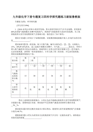 九年级化学下册专题复习四科学探究题练习新版鲁教版Word下载.docx