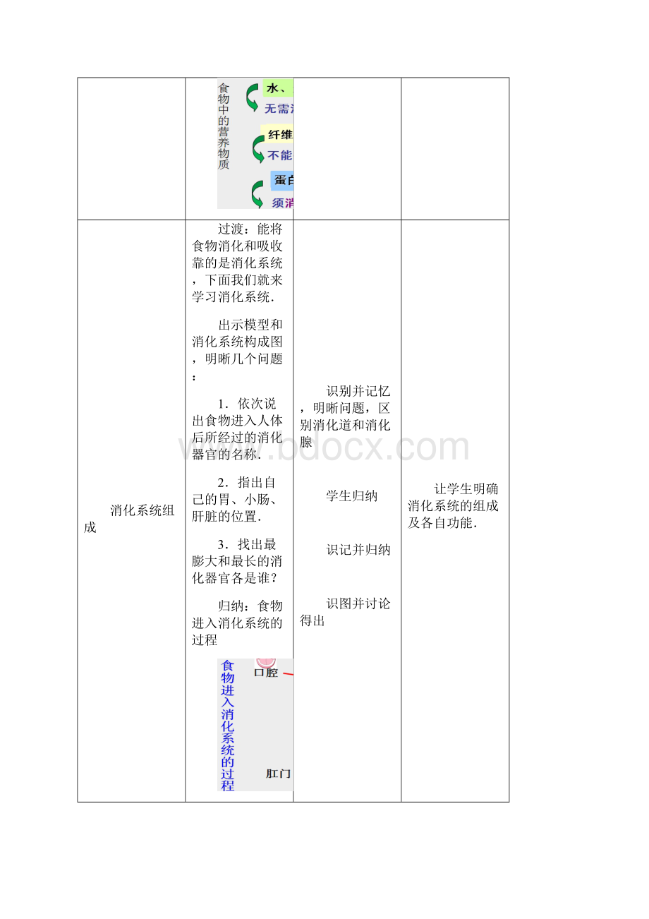 《消化和吸收》教案讲课稿.docx_第3页