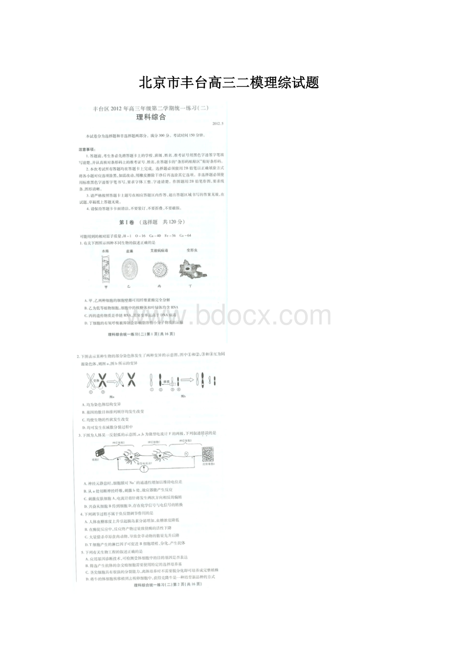 北京市丰台高三二模理综试题文档格式.docx_第1页