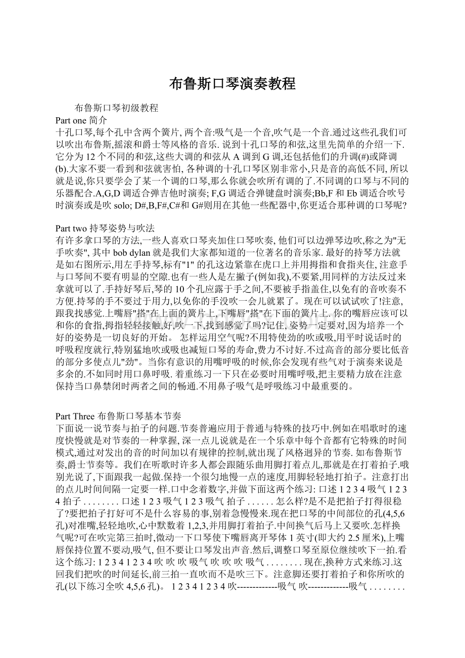 布鲁斯口琴演奏教程Word格式.docx_第1页