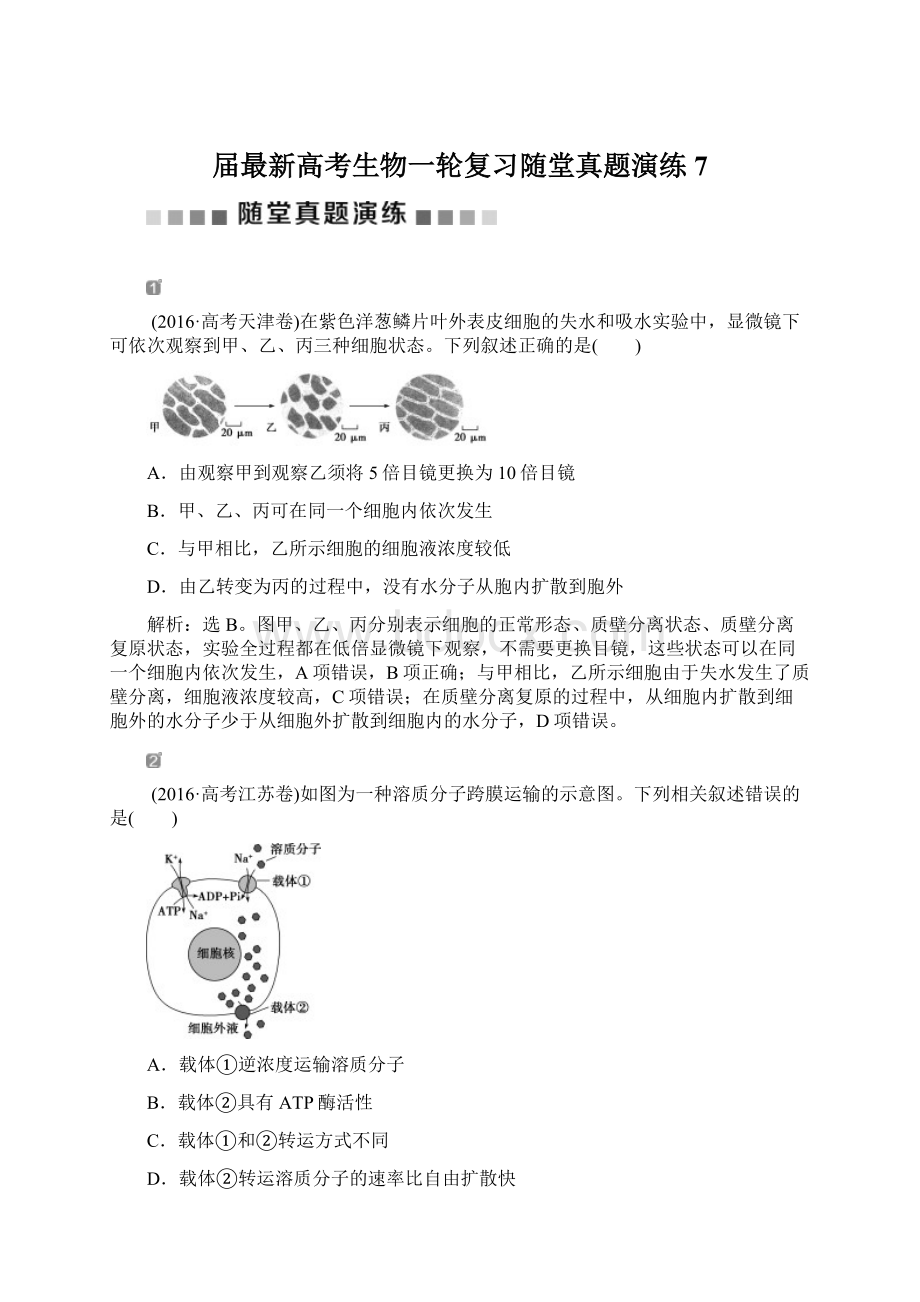 届最新高考生物一轮复习随堂真题演练7Word文档格式.docx