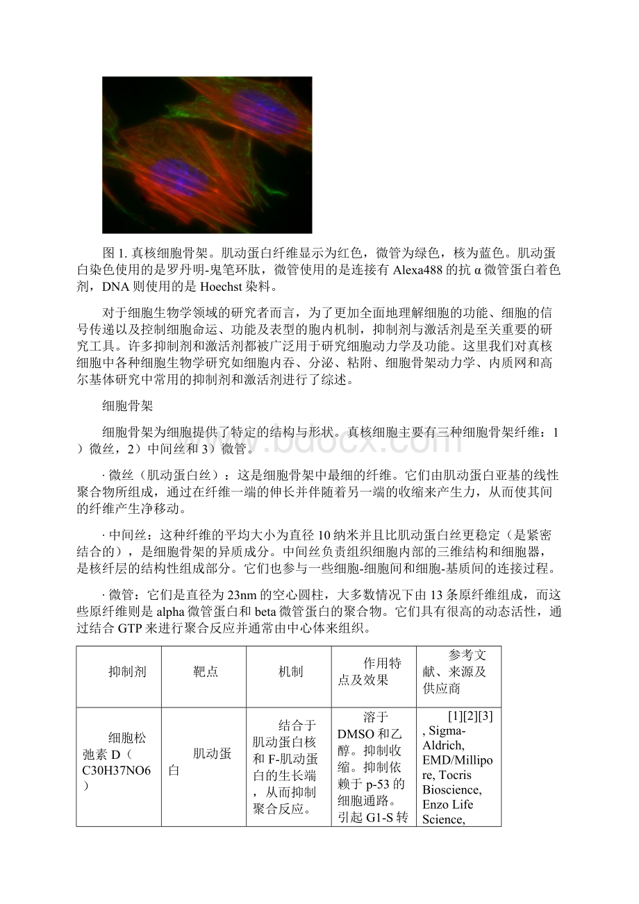 细胞生物学研究中的激活剂和抑制剂.docx_第2页