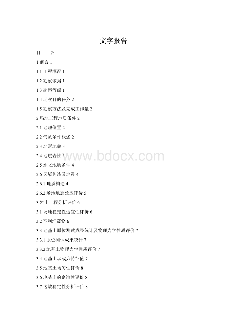 文字报告.docx