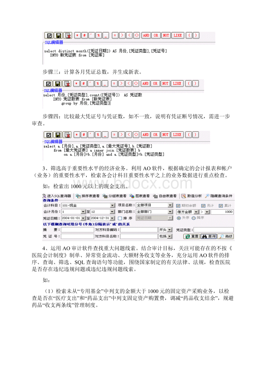 应用AO软件审计医院财务收支情况实例Word格式文档下载.docx_第2页