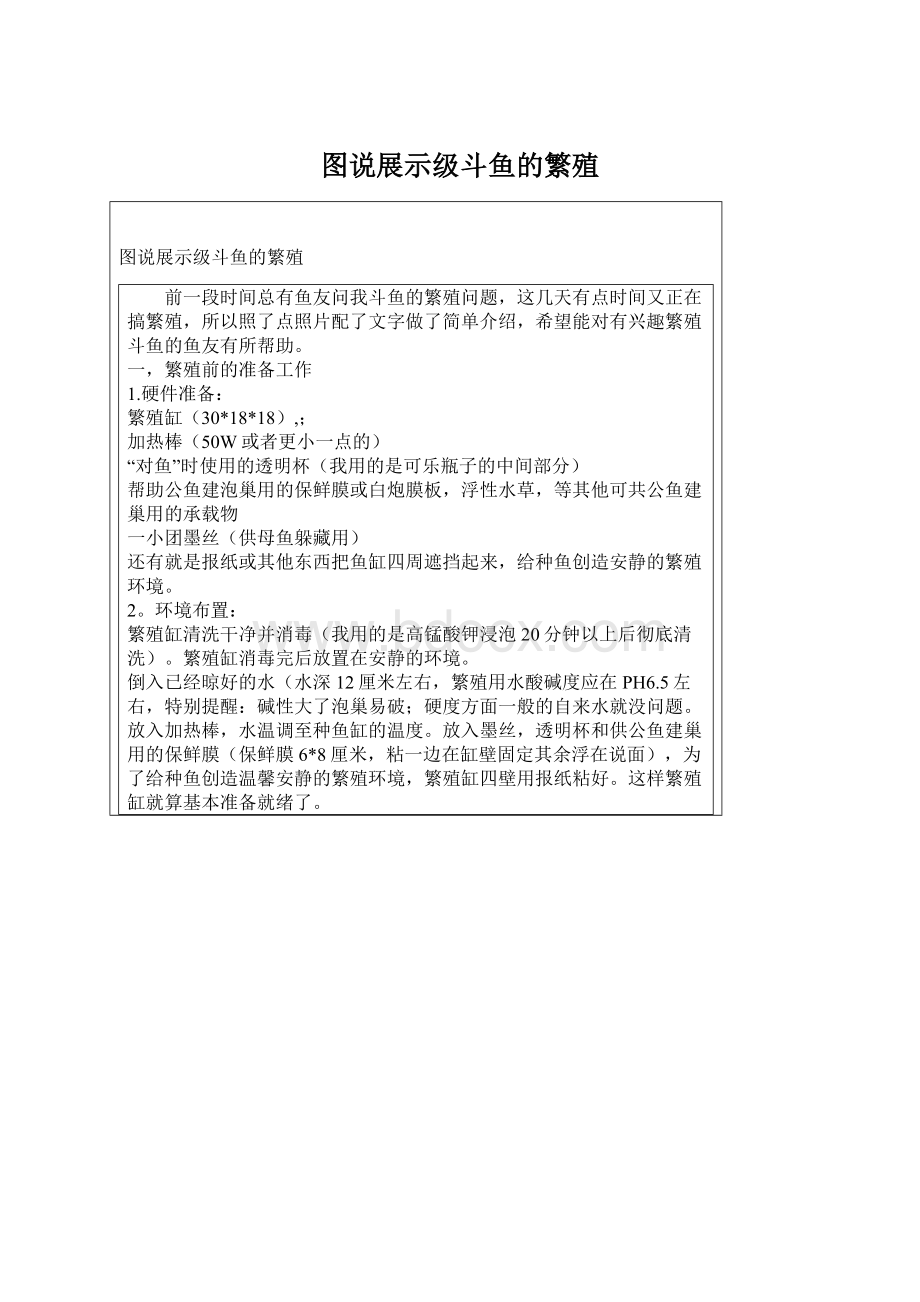 图说展示级斗鱼的繁殖.docx_第1页