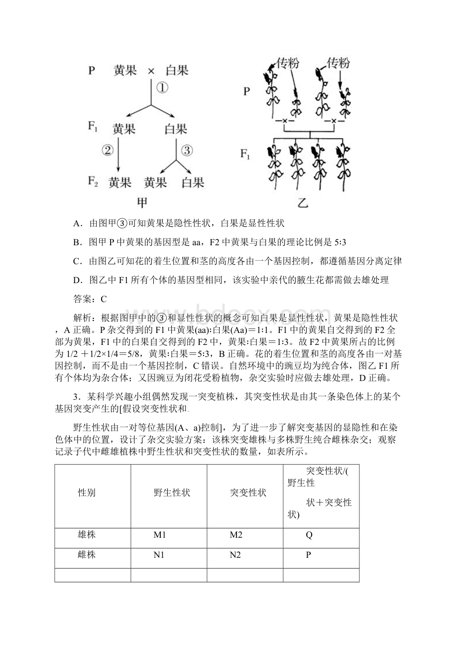 金版教程届高考生物二轮复习 适考素能特训 242遗传的基本规律和伴性遗传 新人教版 2Word格式文档下载.docx_第2页