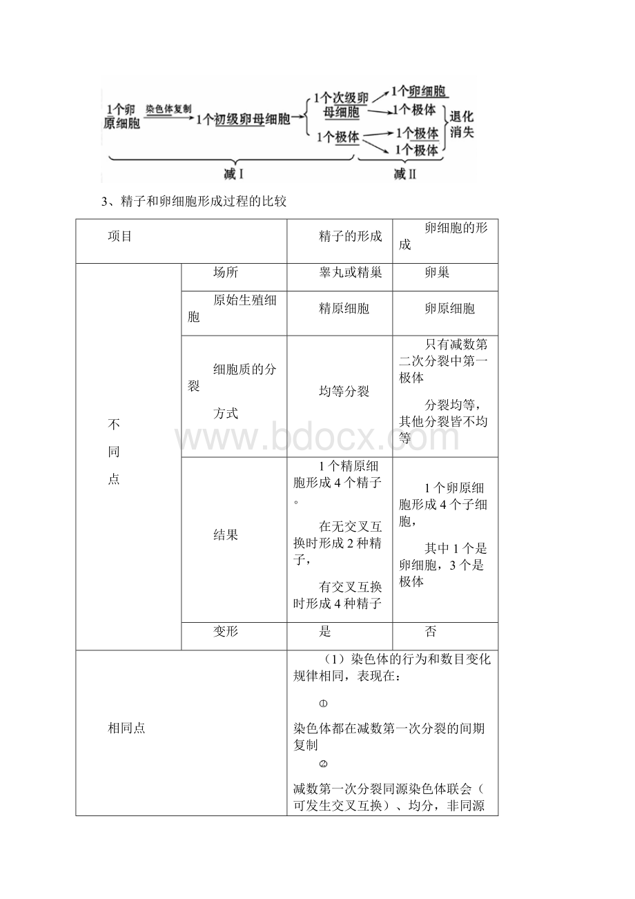 版高考生物一轮 21 减数分裂和受精作用精品复习学案 必修2Word文档格式.docx_第3页