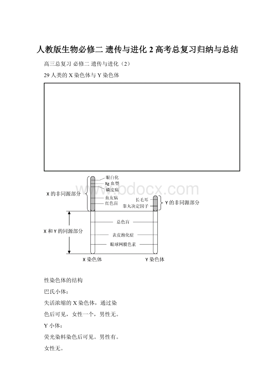 人教版生物必修二 遗传与进化2高考总复习归纳与总结.docx_第1页