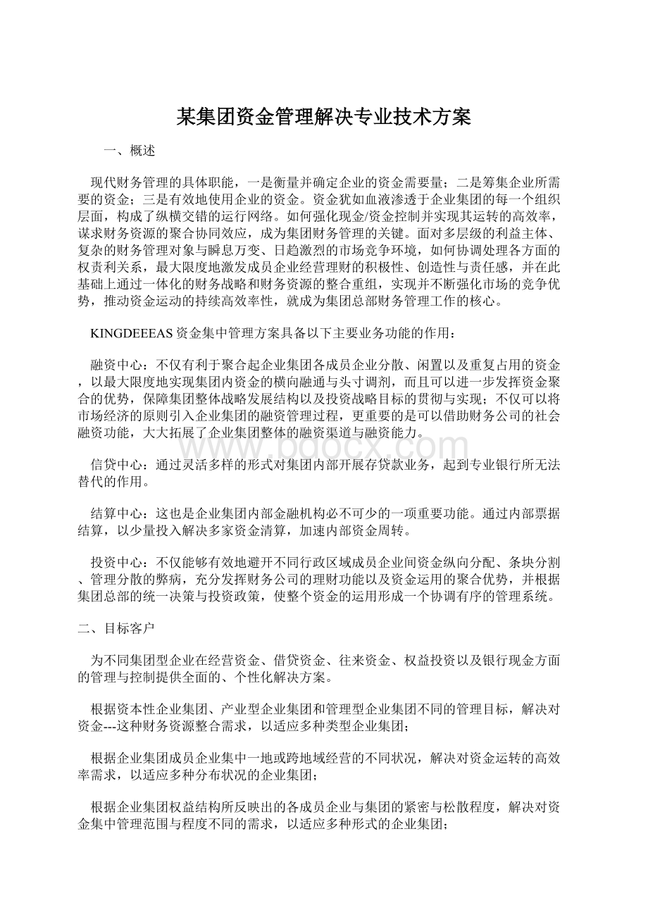 某集团资金管理解决专业技术方案.docx