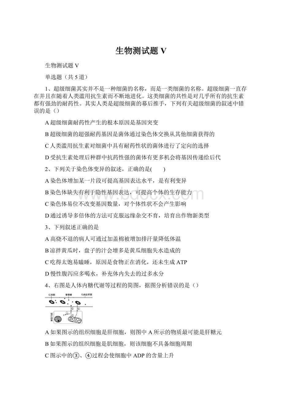 生物测试题VWord文档格式.docx