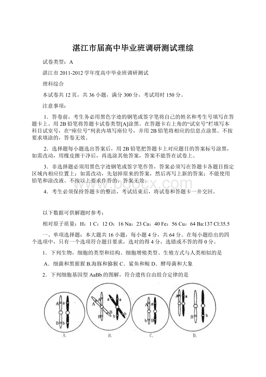 湛江市届高中毕业班调研测试理综Word文档下载推荐.docx_第1页