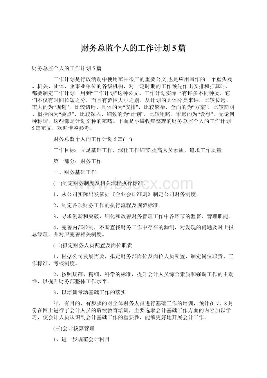 财务总监个人的工作计划5篇.docx