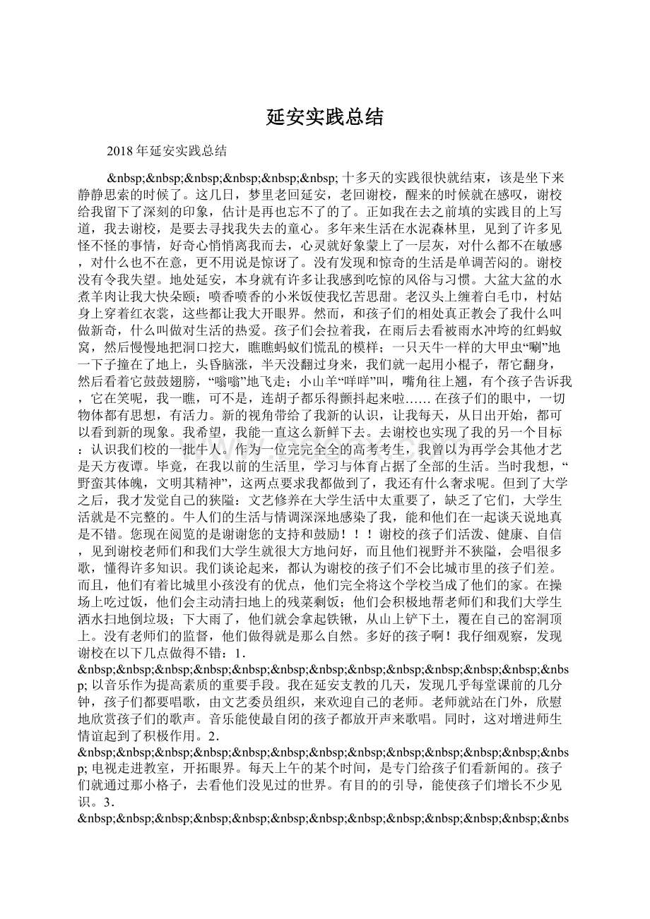 延安实践总结Word格式.docx