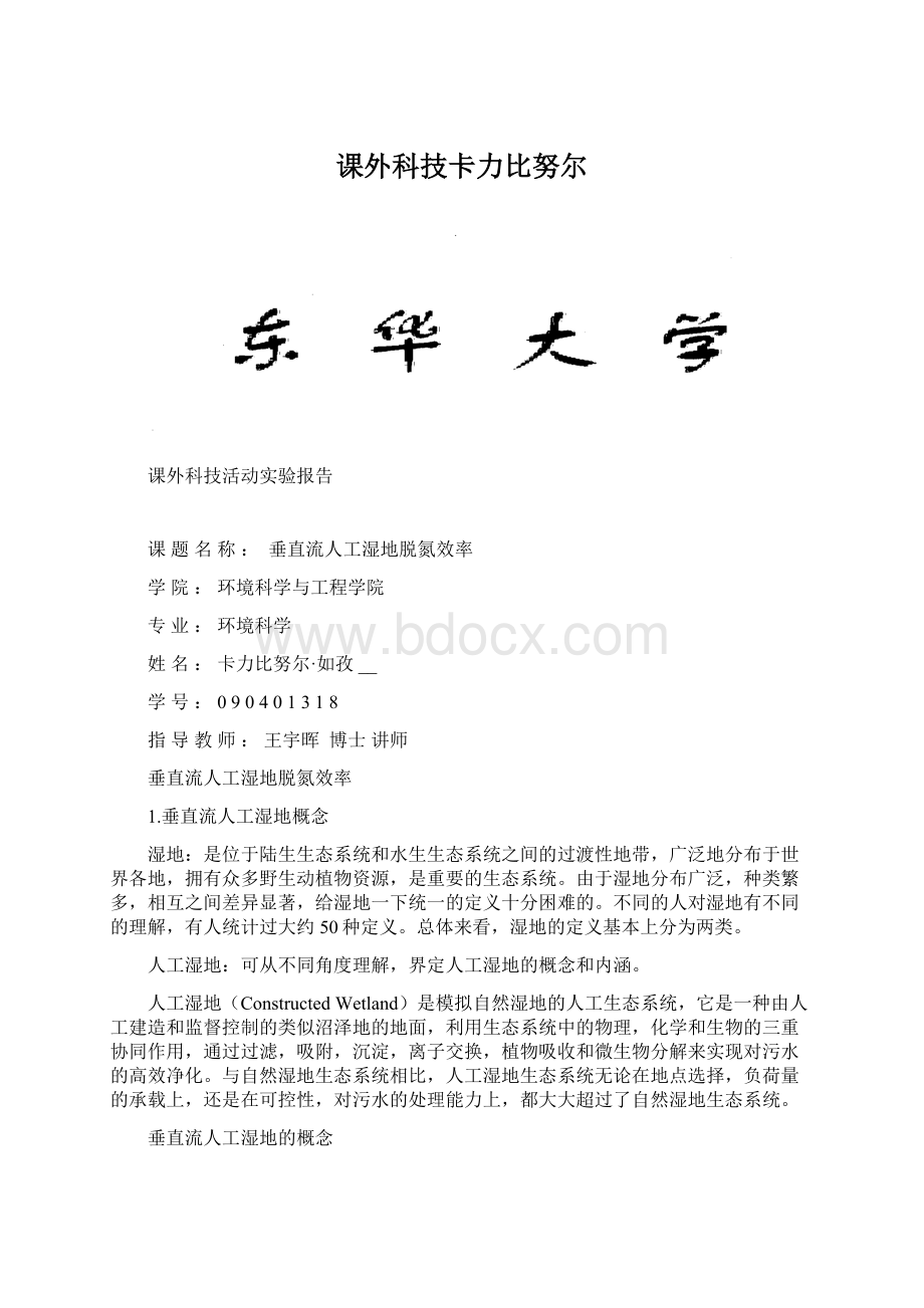 课外科技卡力比努尔文档格式.docx