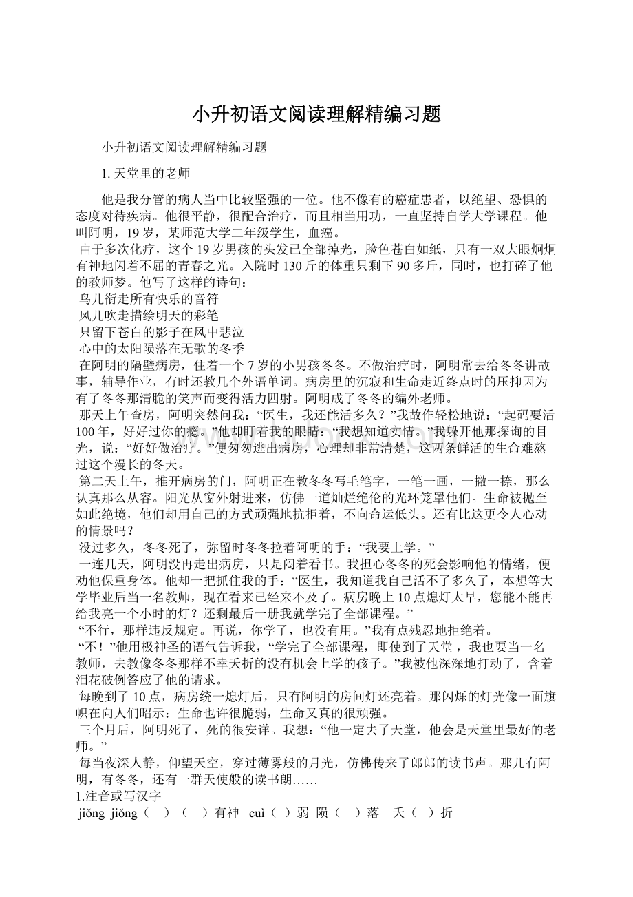 小升初语文阅读理解精编习题Word格式文档下载.docx_第1页