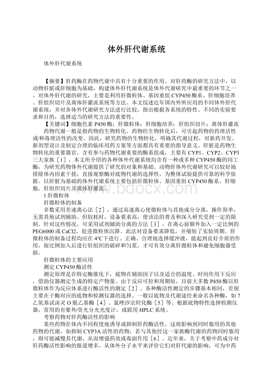 体外肝代谢系统Word格式文档下载.docx