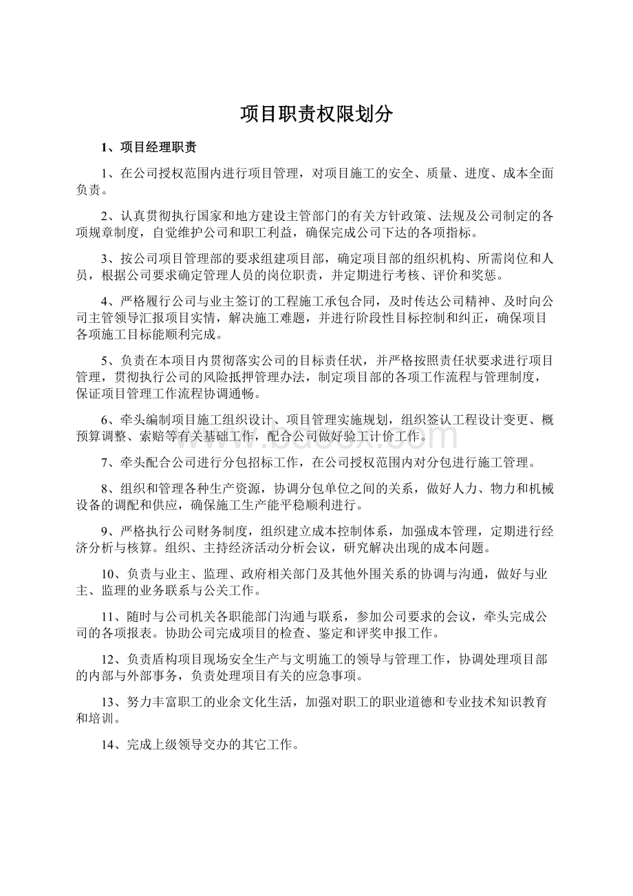 项目职责权限划分Word格式.docx_第1页