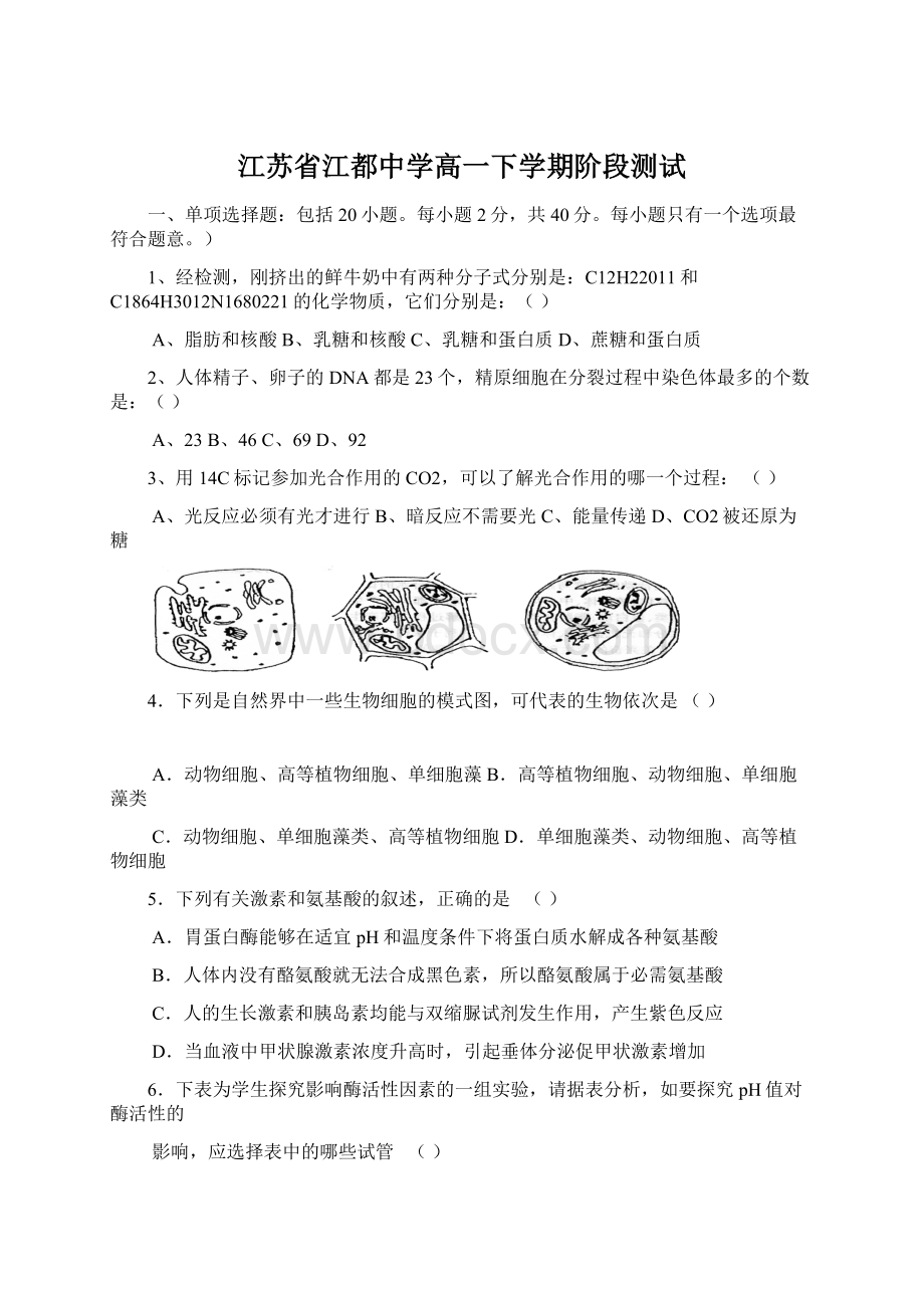 江苏省江都中学高一下学期阶段测试Word格式.docx_第1页