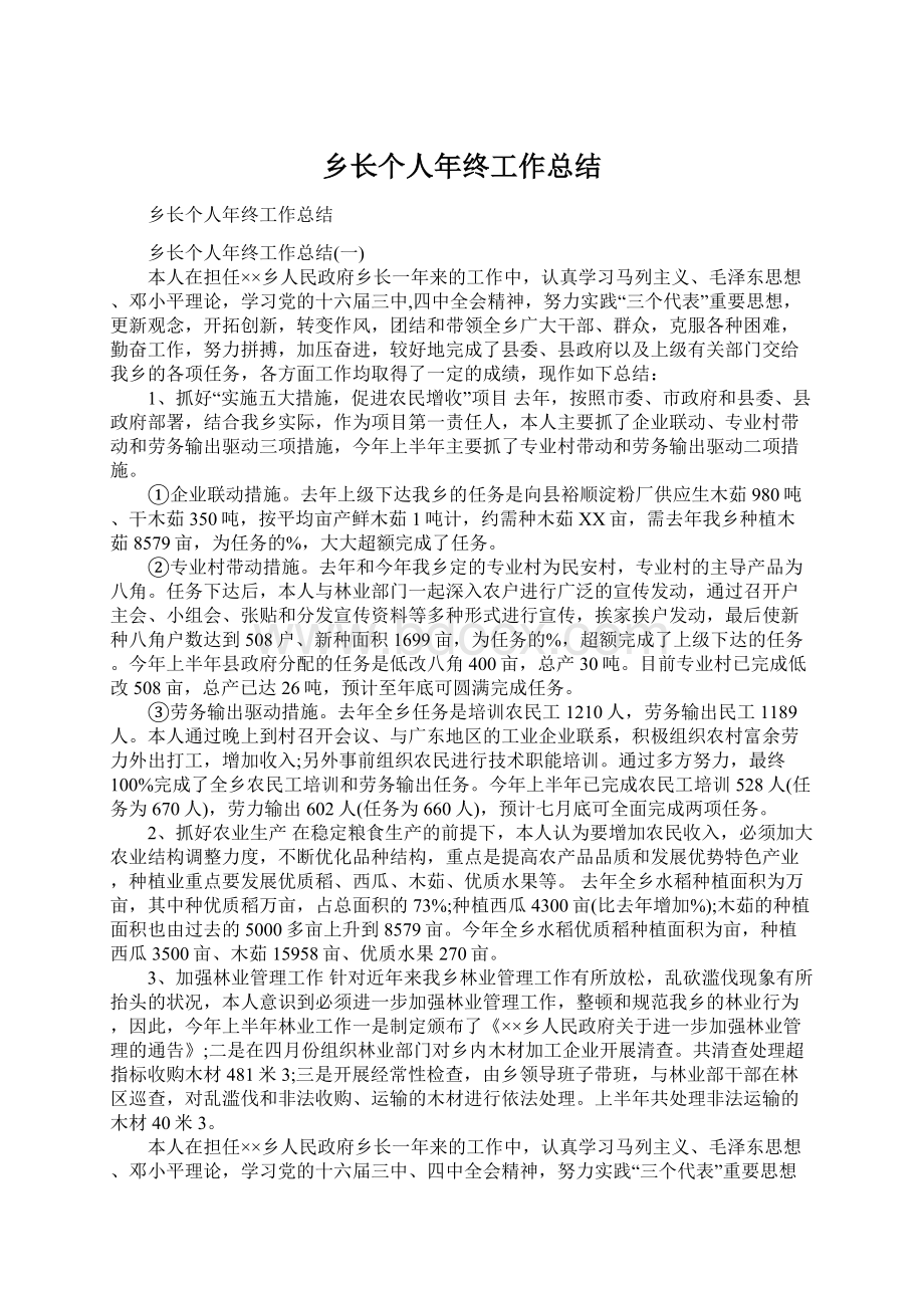 乡长个人年终工作总结Word文件下载.docx_第1页