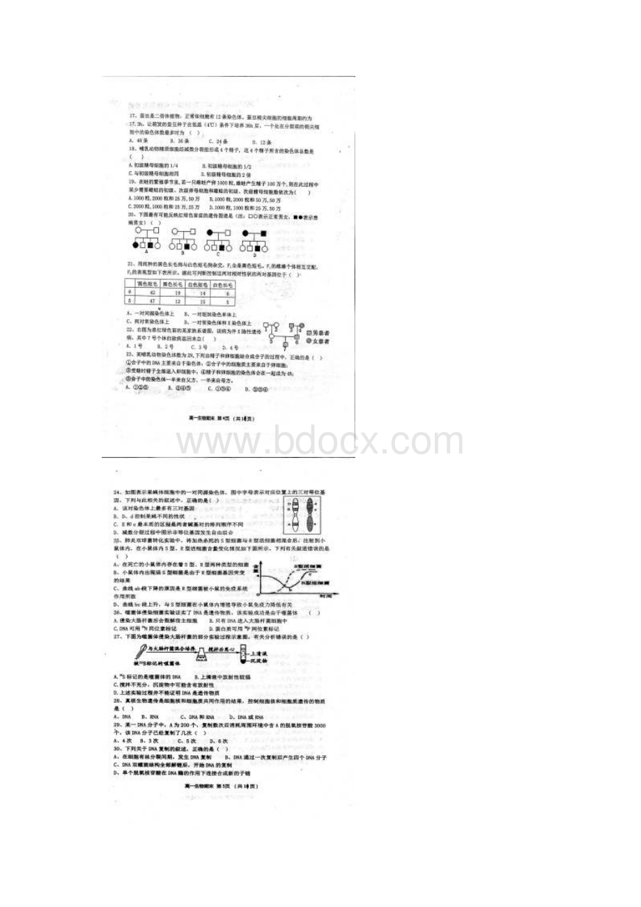 学年山西省怀仁县第一中学应县第一中学校高一下学期期末考试生物试题 扫描版Word下载.docx_第3页