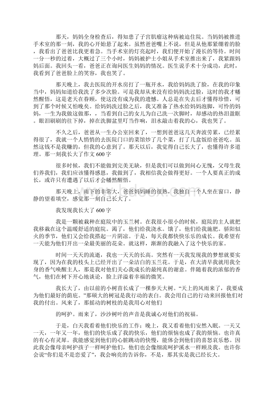 我长大了作文600字精选多篇.docx_第2页