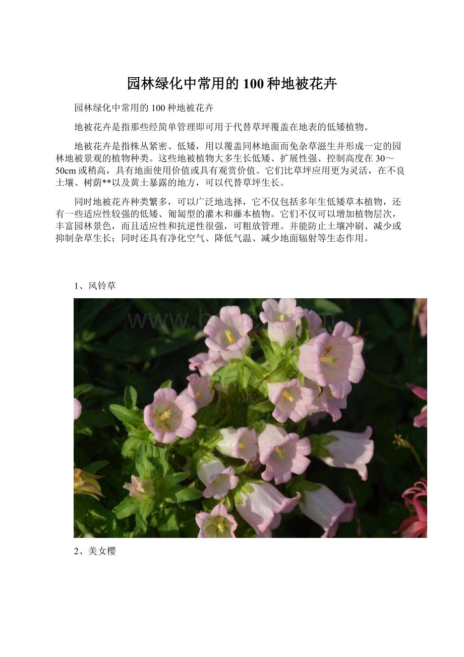 园林绿化中常用的100种地被花卉.docx