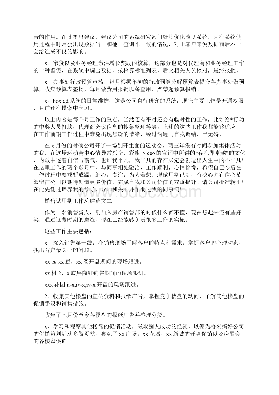 销售试用期工作总结与计划.docx_第2页