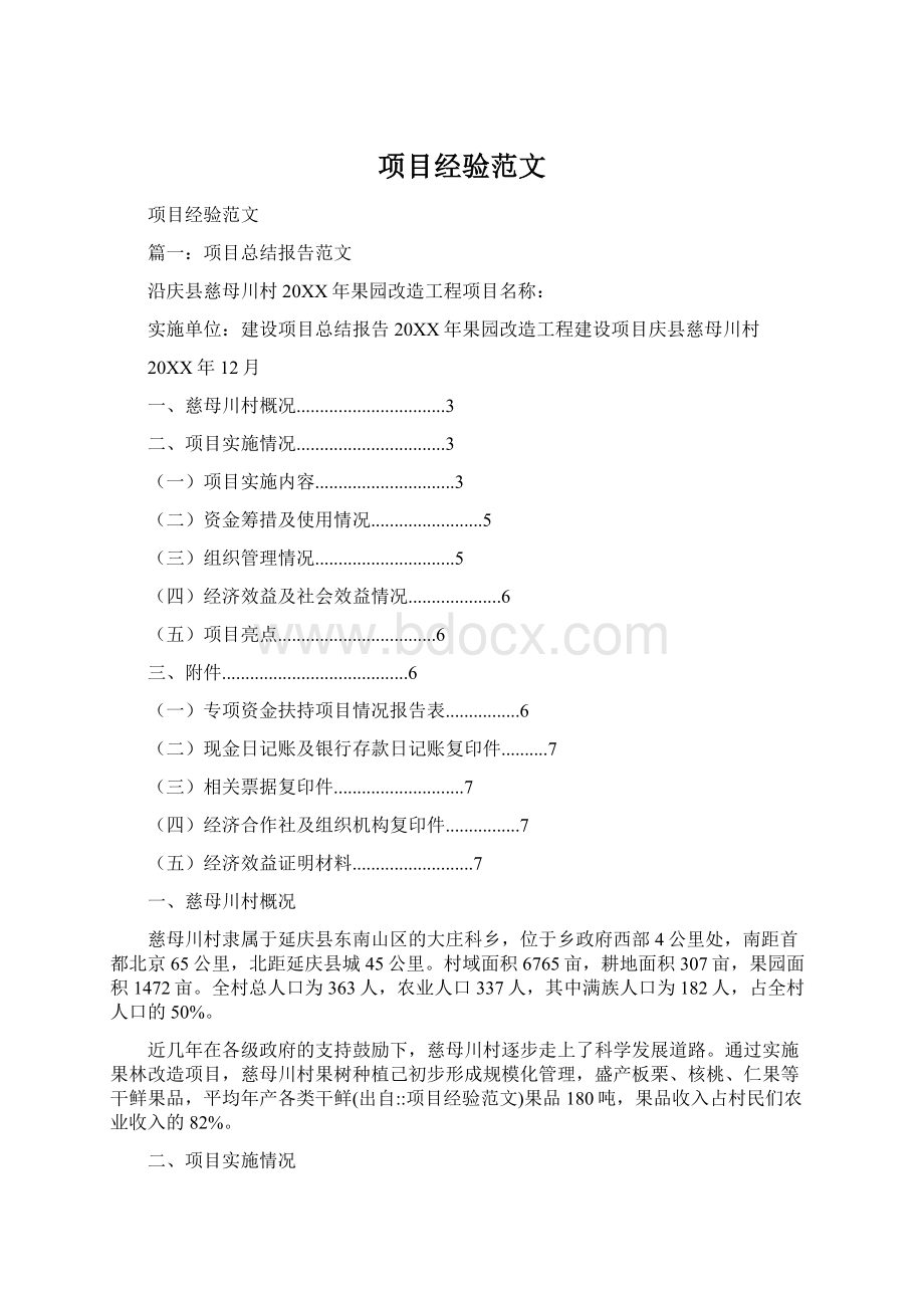 项目经验范文文档格式.docx