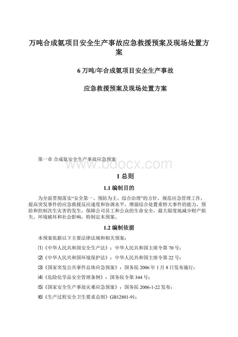 万吨合成氨项目安全生产事故应急救援预案及现场处置方案Word格式.docx