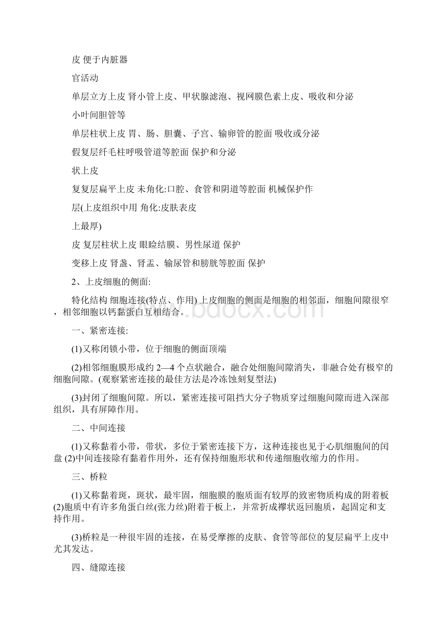 组织学与胚胎学重点归纳详解.docx_第2页