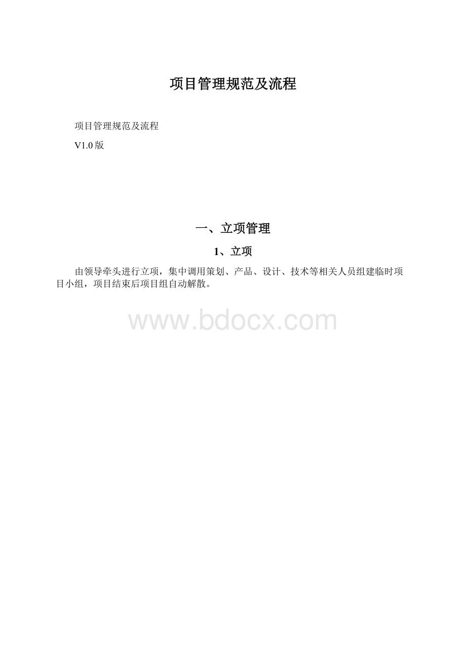 项目管理规范及流程.docx