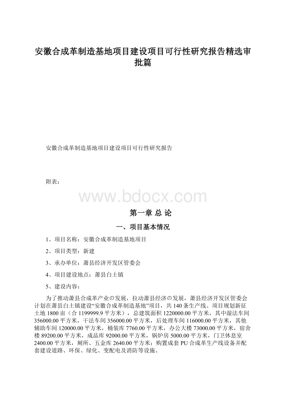 安徽合成革制造基地项目建设项目可行性研究报告精选审批篇Word文件下载.docx_第1页