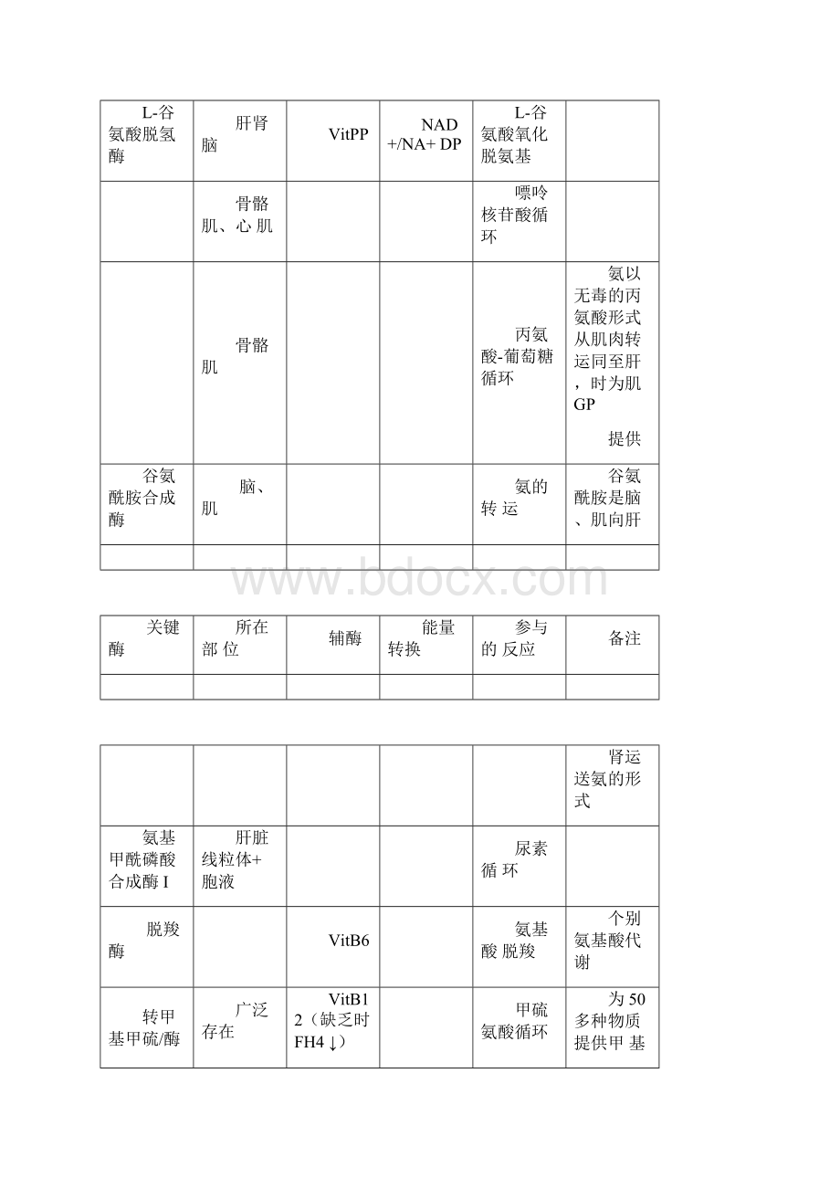 生化一各反应的部位关键酶和辅酶等顺口溜记忆.docx_第2页