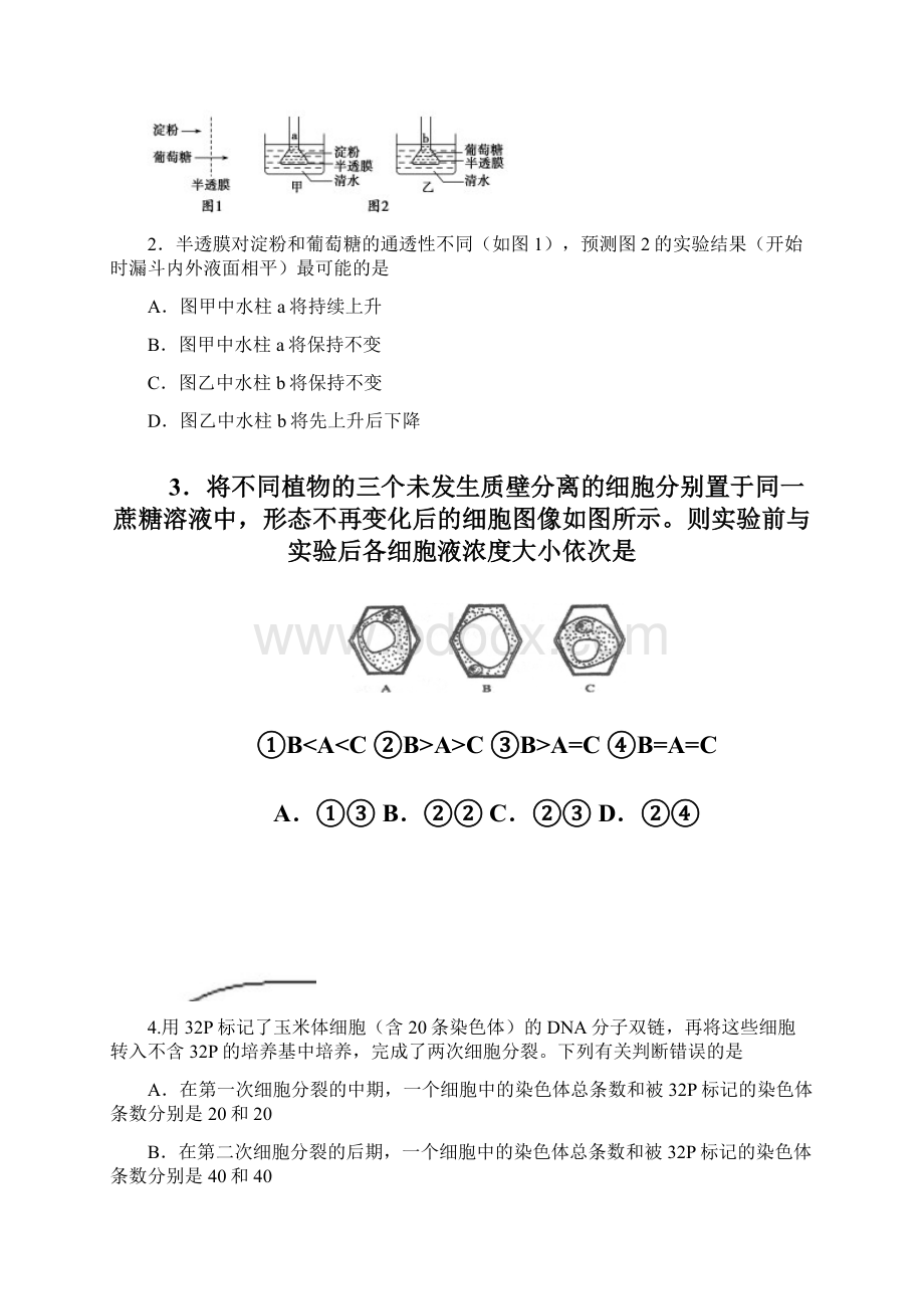 四川省成都经济技术开发区实验中学校学年高三月考理科综合试题 Word版含答案.docx_第2页