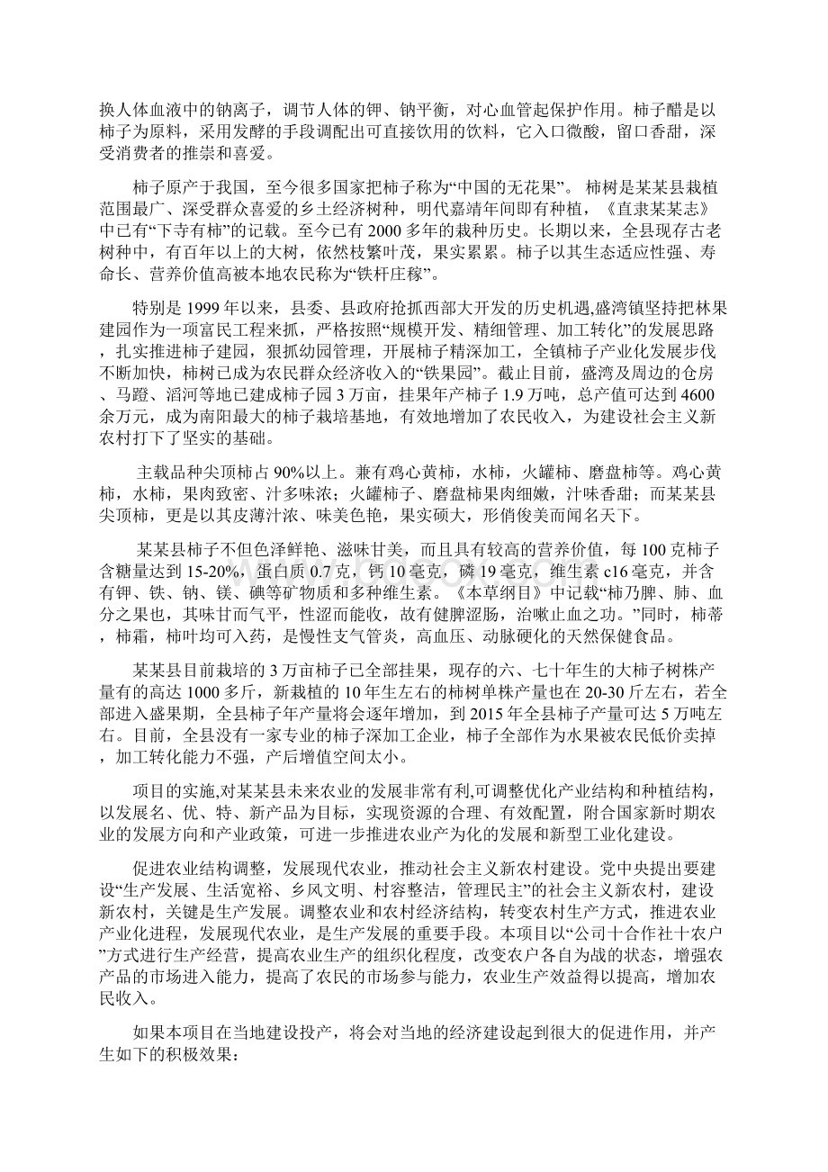 柿子醋项目可行性研究报告.docx_第3页