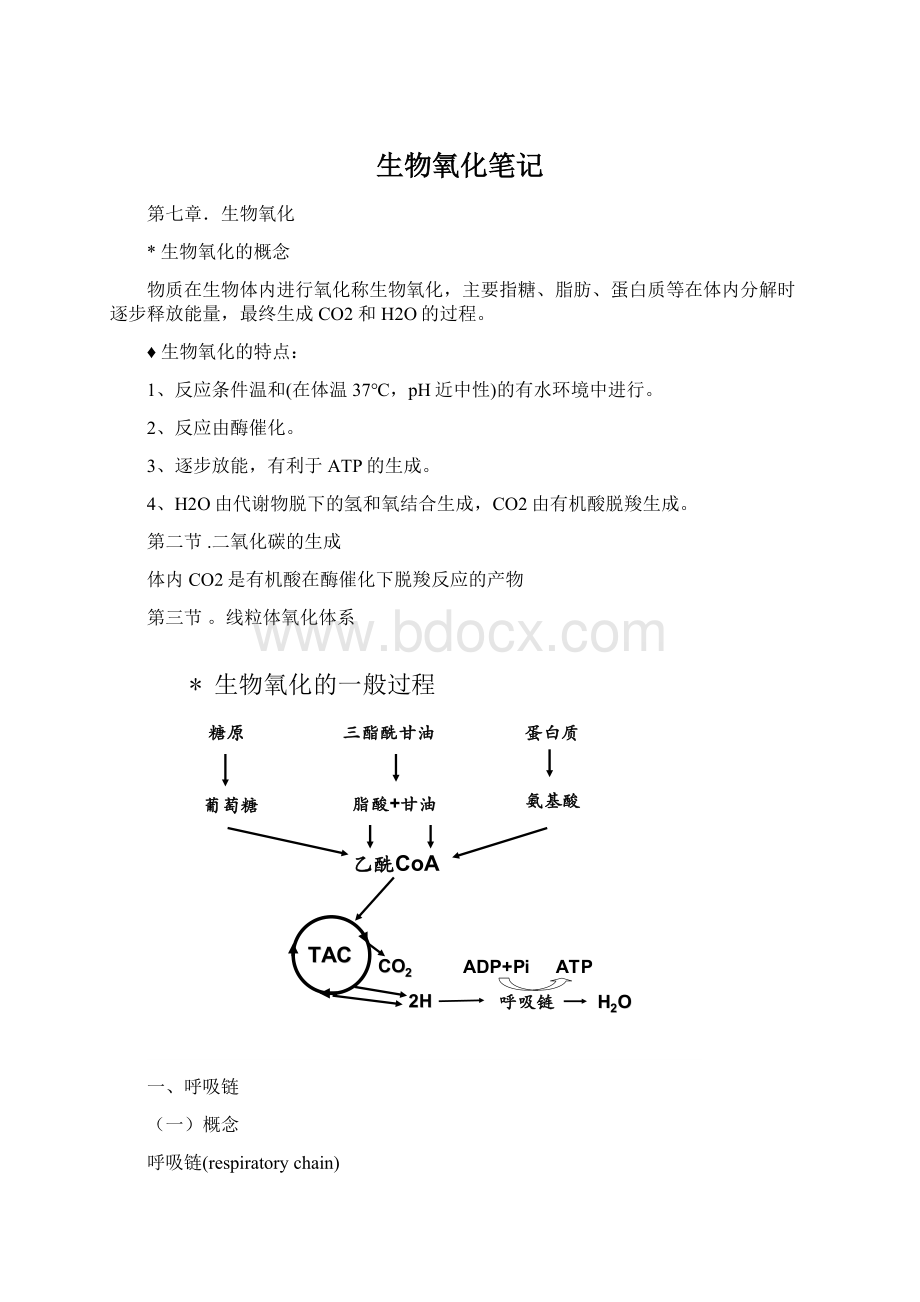 生物氧化笔记.docx_第1页