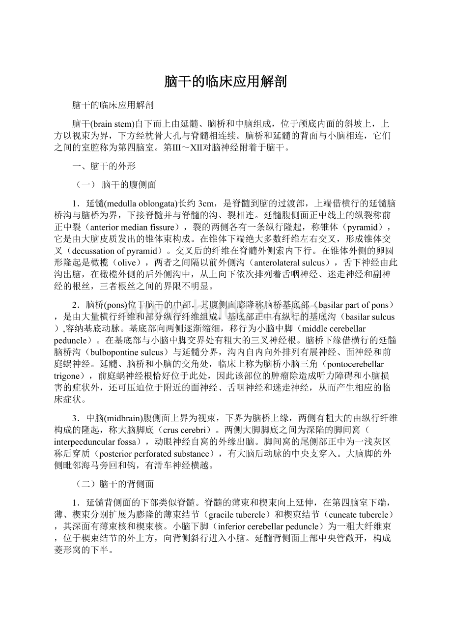 脑干的临床应用解剖.docx_第1页