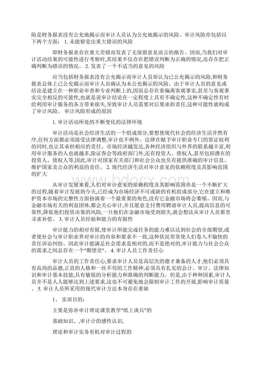 审计课程设计心得体会Word文档下载推荐.docx_第2页