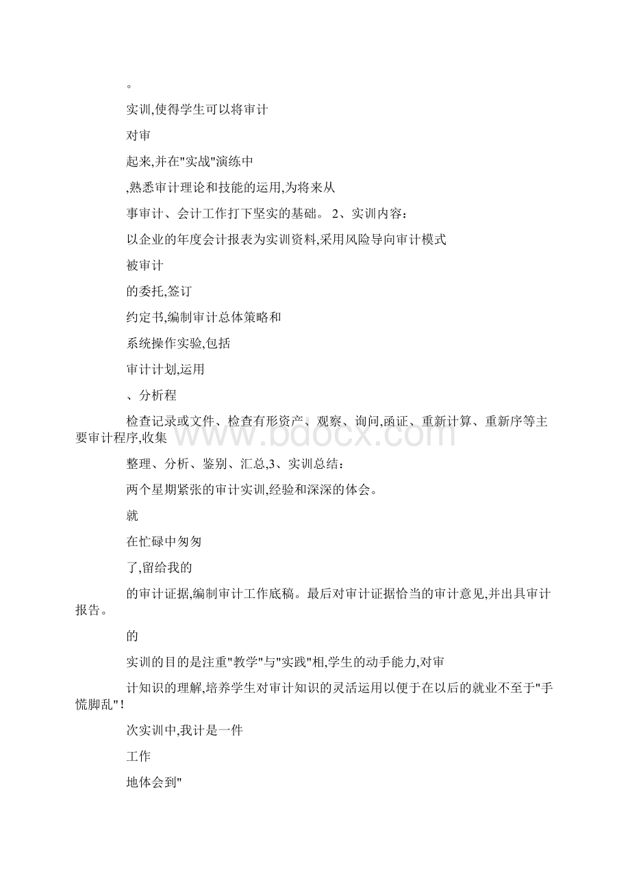 审计课程设计心得体会Word文档下载推荐.docx_第3页