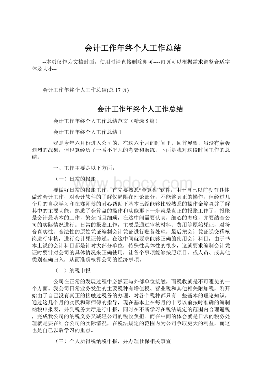 会计工作年终个人工作总结文档格式.docx