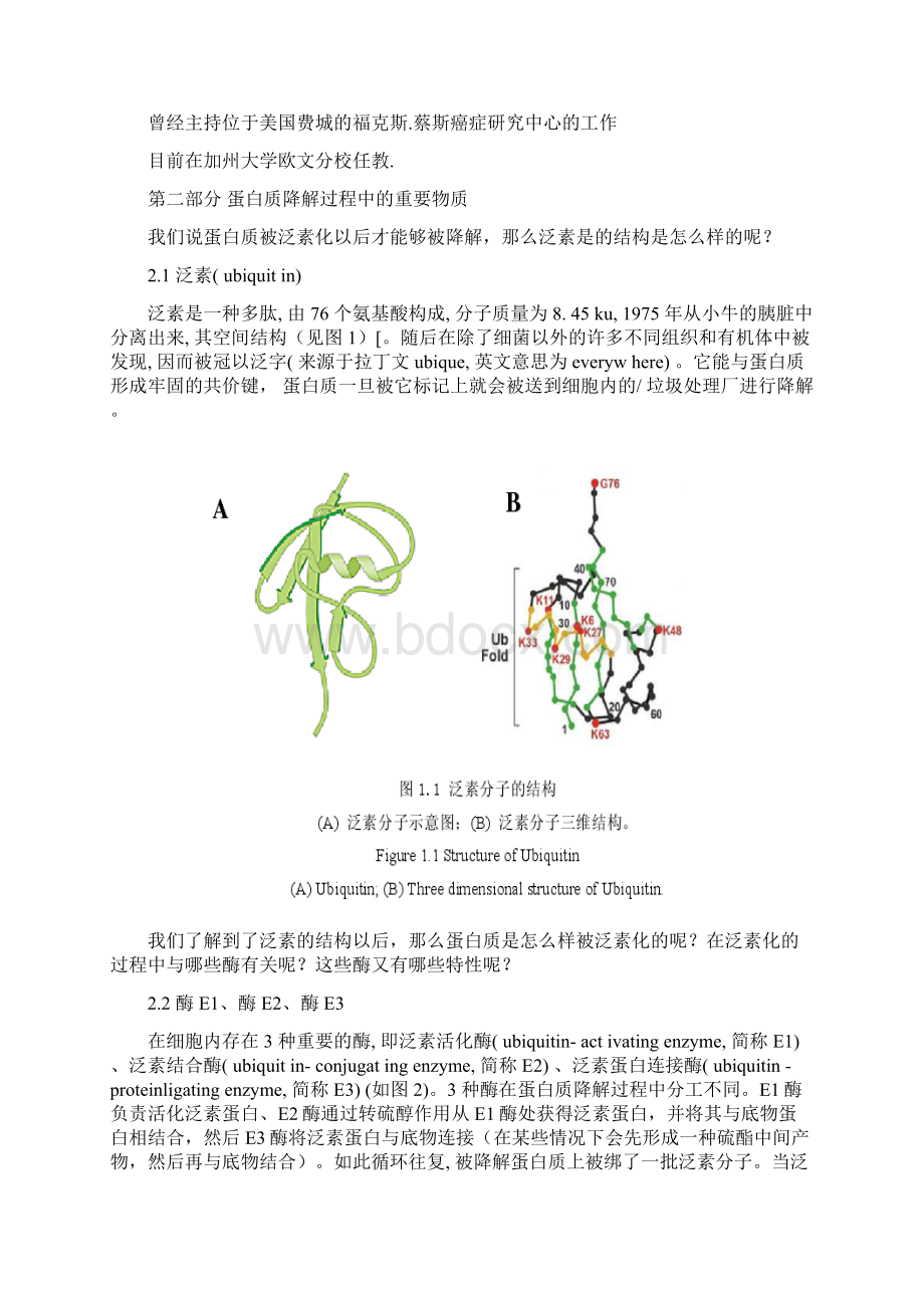 诺贝尔奖Word文档格式.docx_第2页