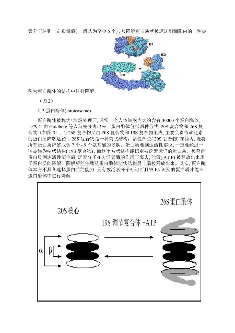 诺贝尔奖Word文档格式.docx_第3页